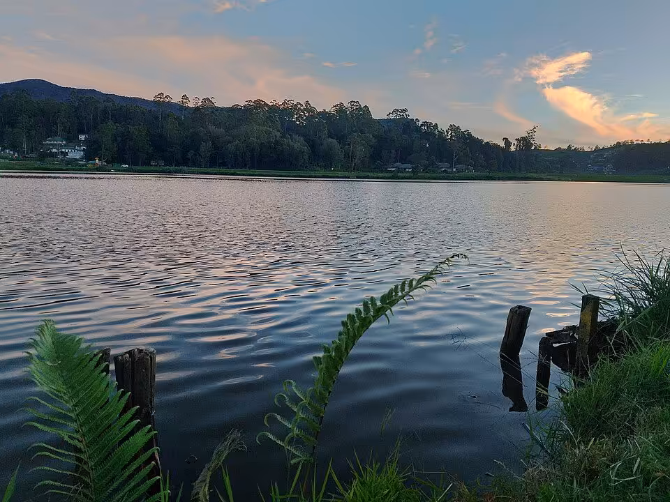 By the gregory lake
