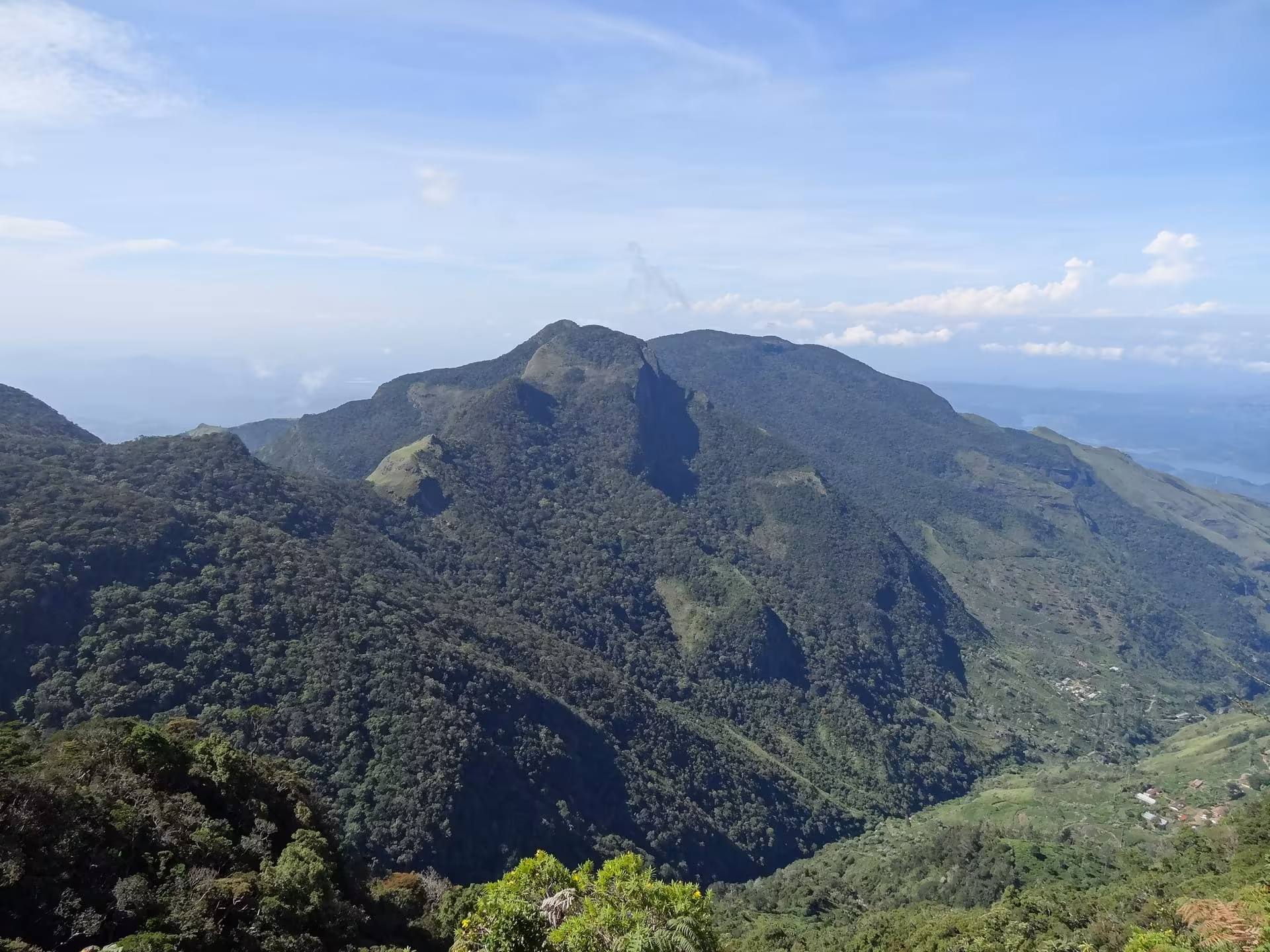 Horton plains national park 79